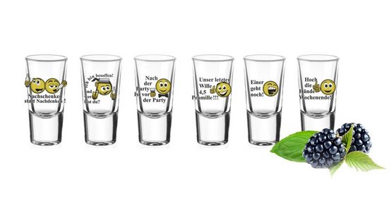 SENDEZ Schnapsglas 6 Schnapsgläser mit Sprüchen Schnaps Shots Stamper Wodkagläser Glas mehr Blitzverkäufe
