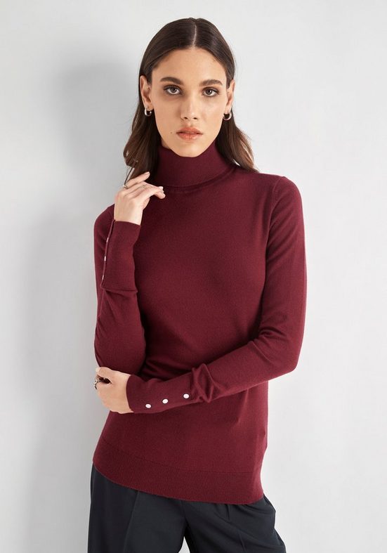 HECHTER PARIS Strickpullover mit Rollkragen mehr Schlussverkauf