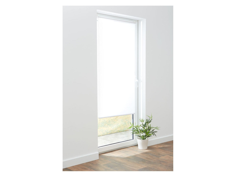 LIVARNO home Tageslichtrollo, für Türen, ohne Bohren, 80x100cm Kauf eins, bekomm eins gratis