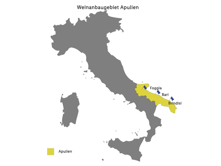 Selone Rosso Puglia IGP halbtrocken, Rotwein 2023 VIP-Rabatte