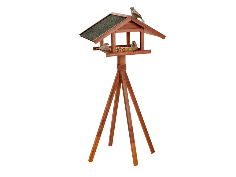 Karlie Bird's World Wild Remo Tägliche Deals