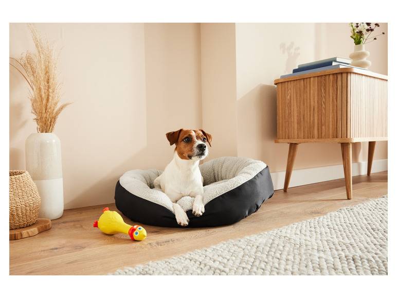 zoofari® Hundebett, mit kuscheligem Plüsch Begrenzte Freigabe