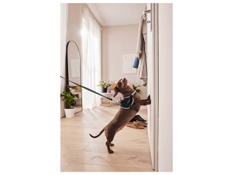 zoofari® Hundegeschirr, mit Klettstickern Bis zu 65% Rabatt