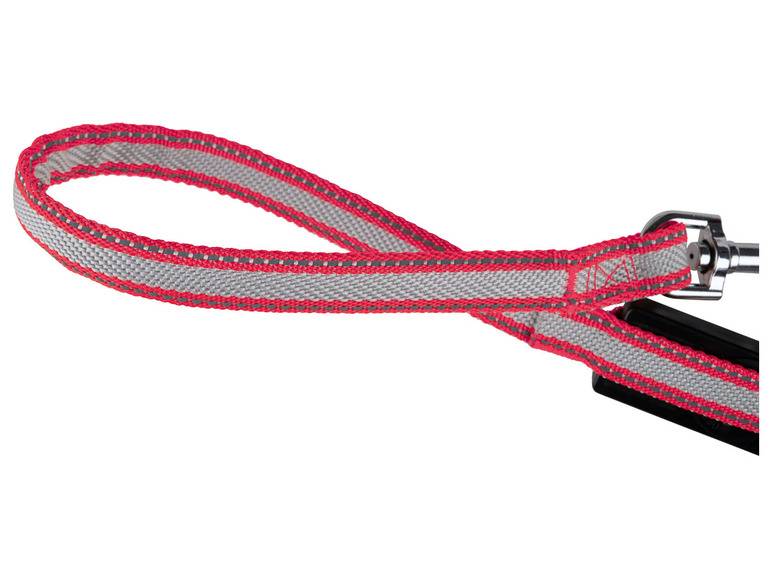 zoofari® Ausziehleine LED, 3 Leuchtfunktionen Sonderangebot der Fabrik