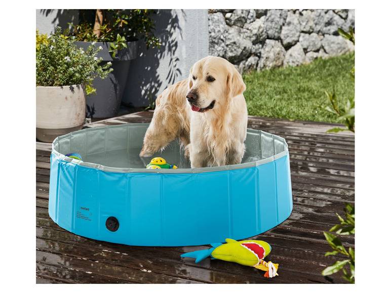 zoofari® Hundepool, Ø 120 x H 30 cm, mit Antirutsch-Boden Nur noch ein Tag übrig