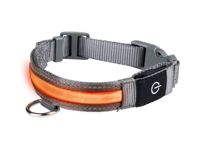 zoofari® LED-Hundeleuchtband, mit wiederaufladbarem Akku Clearance-Verkauf