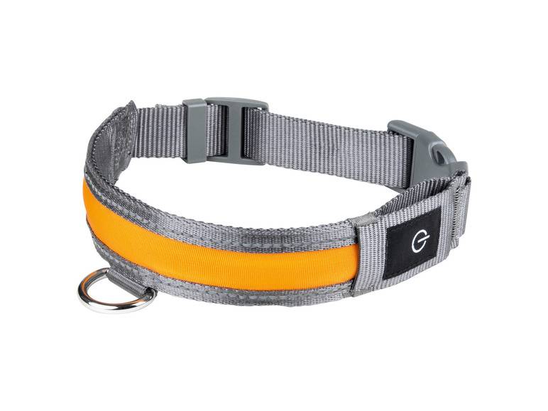 zoofari® LED-Hundeleuchtband, mit wiederaufladbarem Akku Clearance-Verkauf