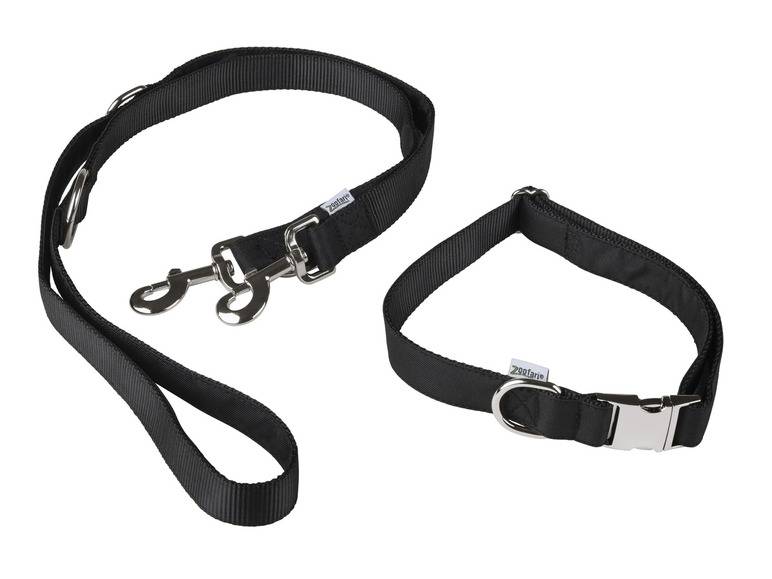 zoofari® Hundehalsband mit Hundeleine Im Verkauf