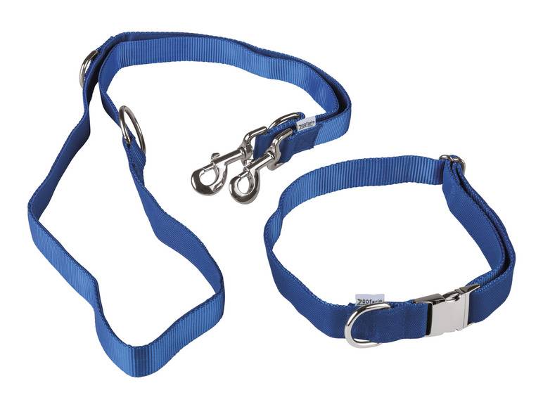 zoofari® Hundehalsband mit Hundeleine Im Verkauf