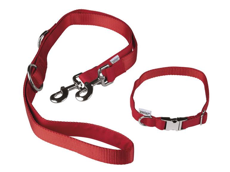 zoofari® Hundehalsband mit Hundeleine Im Verkauf