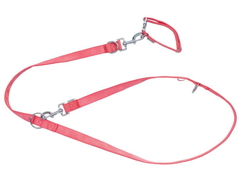 zoofari® Hundehalsband und Hundeleine 50% Rabatt für begrenzte Zeit