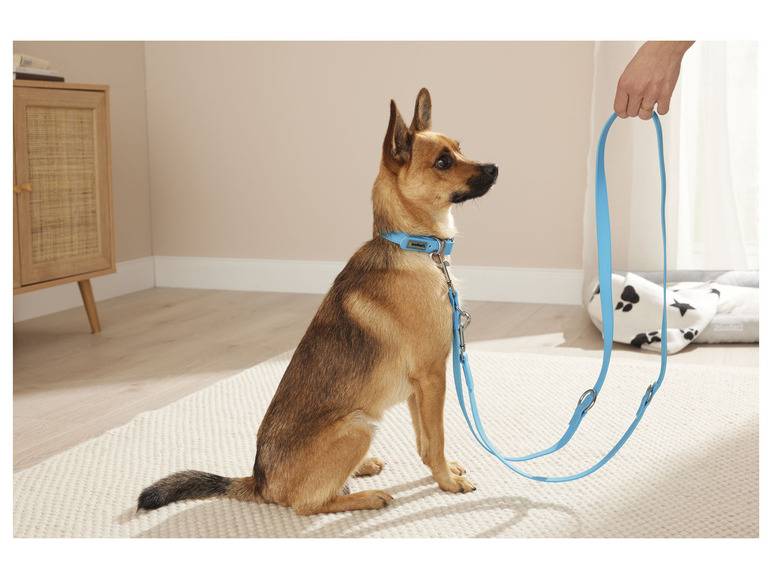 zoofari® Hundehalsband und Leine, 3-fach verstellbar 2025
