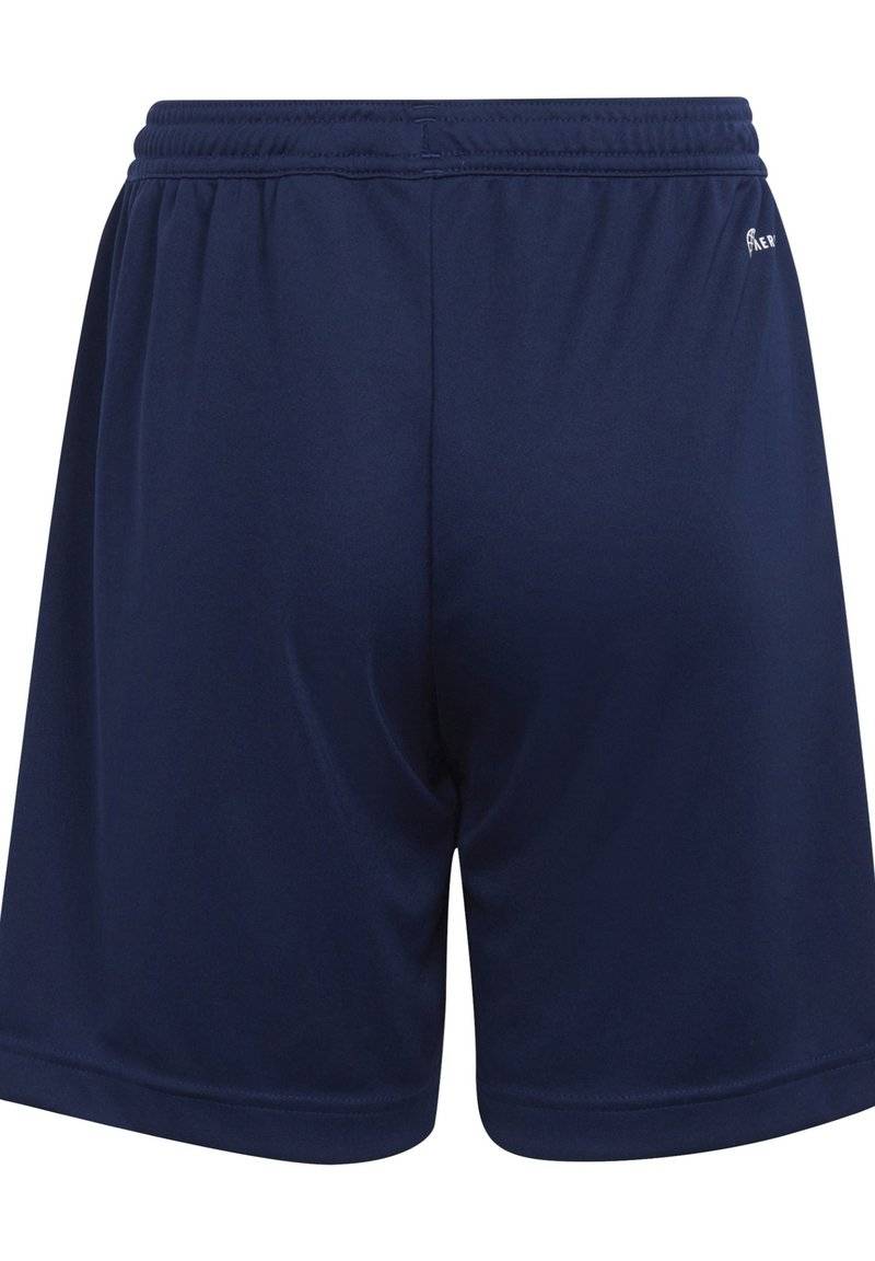adidas Performance adidas Performance ENTRADA - Sports shorts - blue Bis zu 60% Rabatt