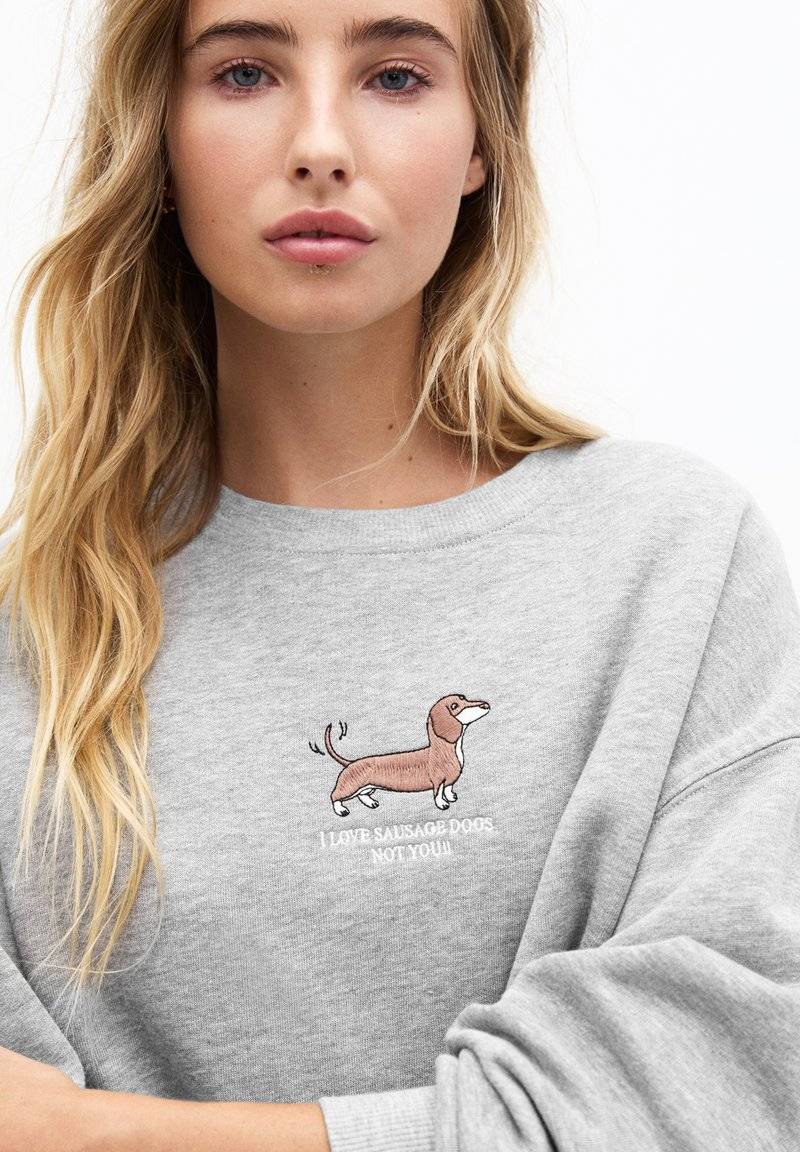 PULL&BEAR PULL&BEAR DOG - Sweatshirt - grey Rabatt