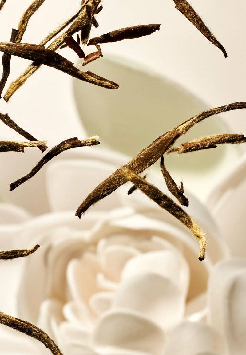 Rituals Rituals FRAGRANCE STICKS THE RITUAL OF KARMA - DELICATELY SWEET - LOTUS & WHITE TEA - Home fragrance 2025