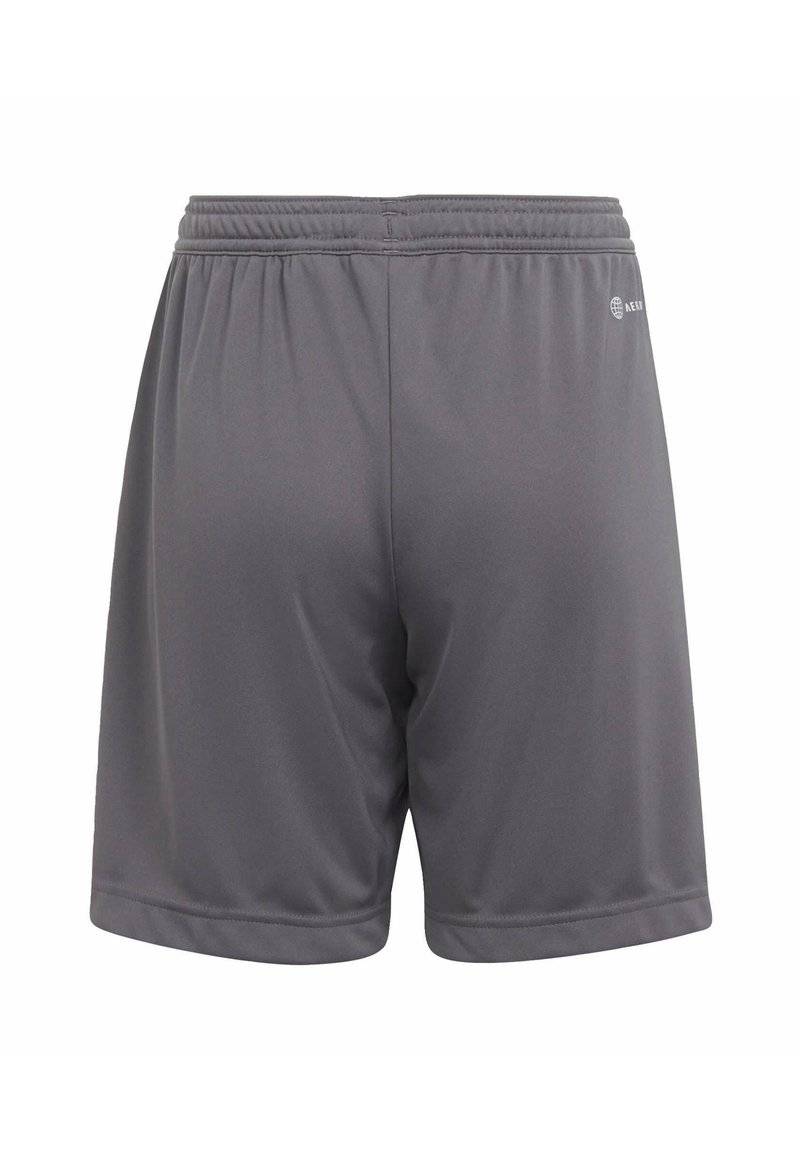 adidas Performance adidas Performance ENTRADA - Sports shorts - grey JETZT KAUFEN
