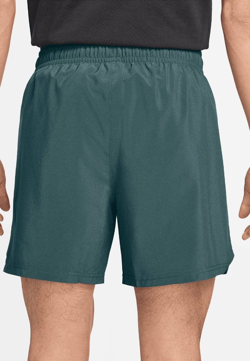 Jordan Jordan Sports shorts - oxidized green Exklusivangebot