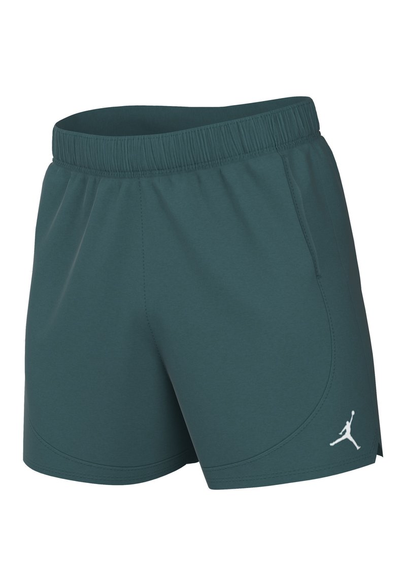 Jordan Jordan Sports shorts - oxidized green Exklusivangebot