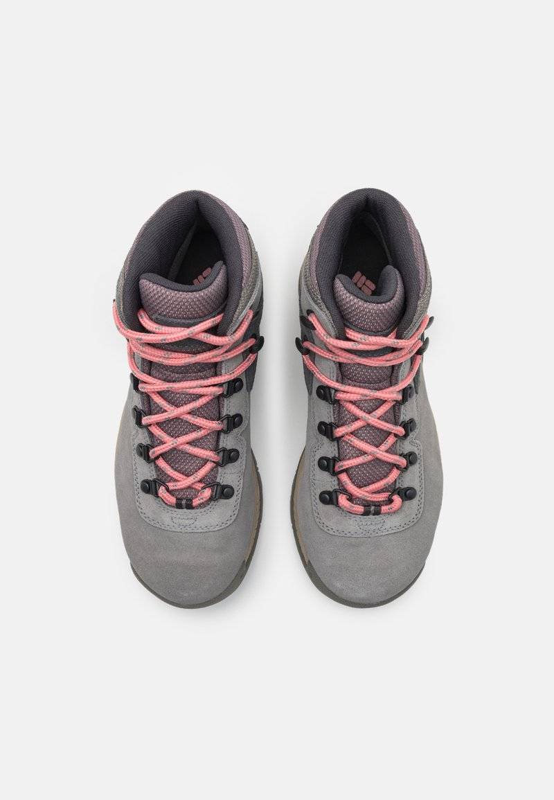 Columbia Columbia NEWTON RIDGE PLUS WATERPROOF AMPED - Hiking shoes Tägliche Deals
