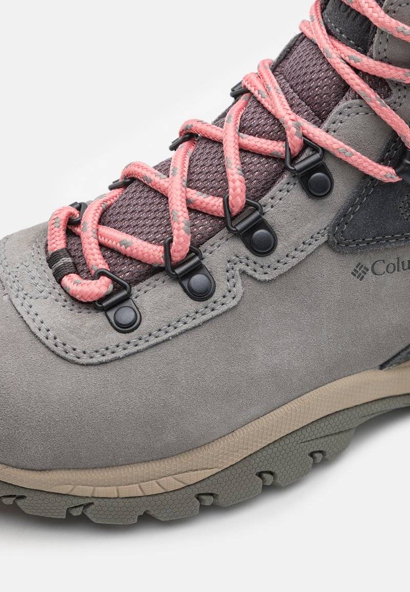 Columbia Columbia NEWTON RIDGE PLUS WATERPROOF AMPED - Hiking shoes Tägliche Deals